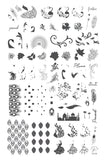 Strut your Tail Feathers (CjS-126) Steel Nail Art Stamping Plate