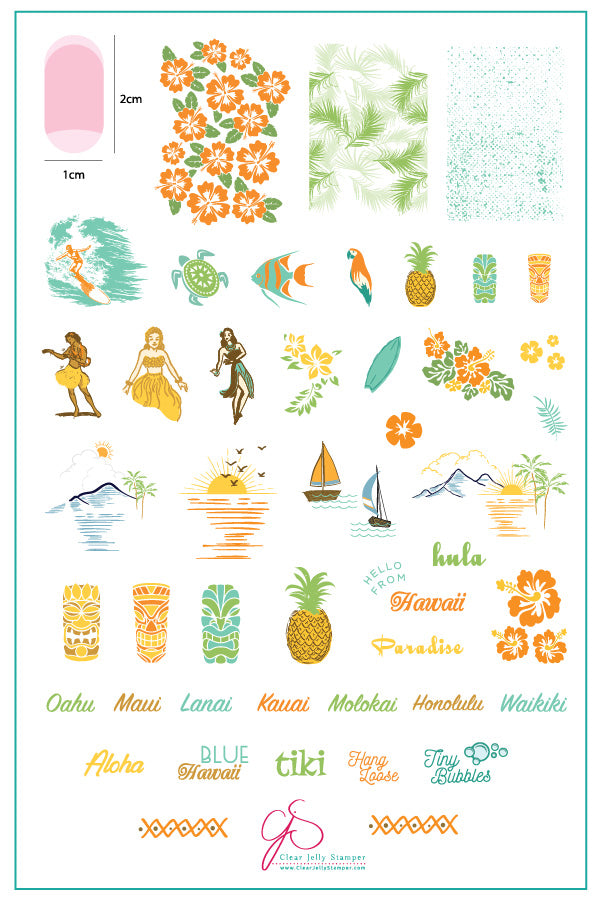 Aloha! (CjS-128) Steel Nail Art Stamping Plate 14 x 9 Clear Jelly Stamper 