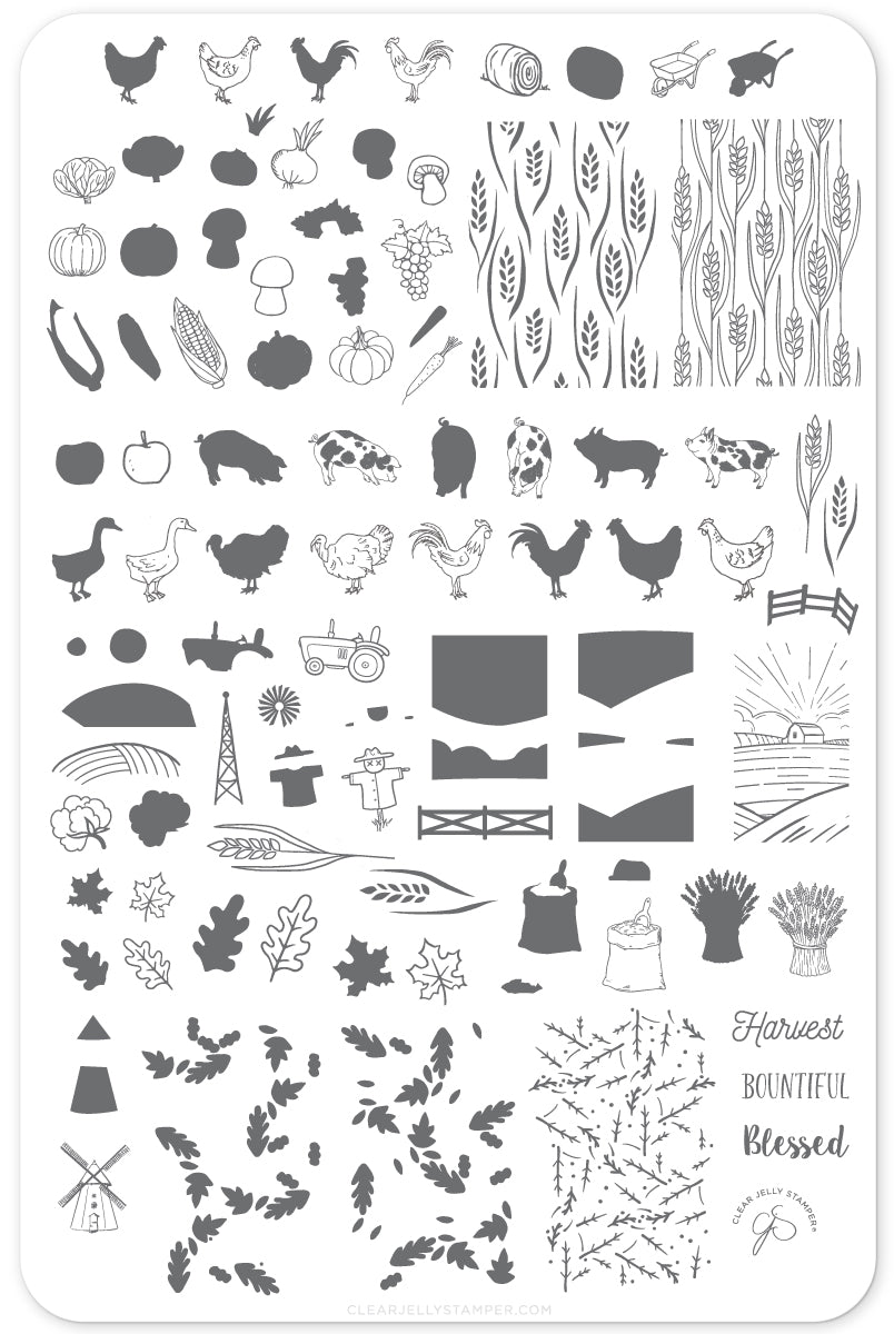 Harvest (CjS-138) Steel Nail Art Stamping Plate 14 x 9 Clear Jelly Stamper 
