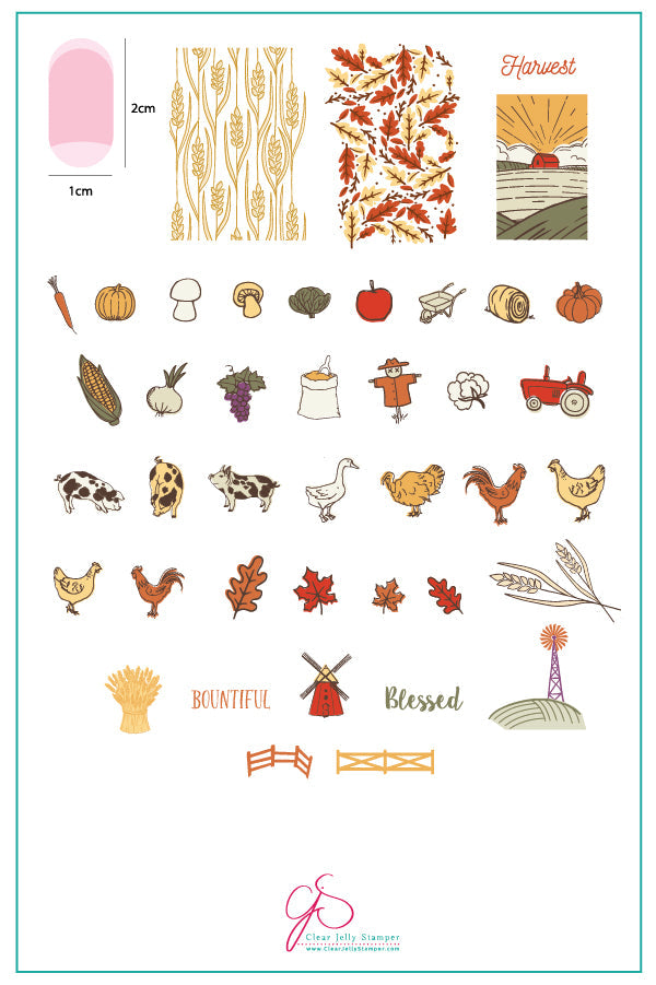 Harvest (CjS-138) Steel Nail Art Stamping Plate 14 x 9 Clear Jelly Stamper 