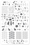 Autumn Acorns (CjS-148) Steel Stamping Plate 14 x 9 Clear Jelly Stamper 