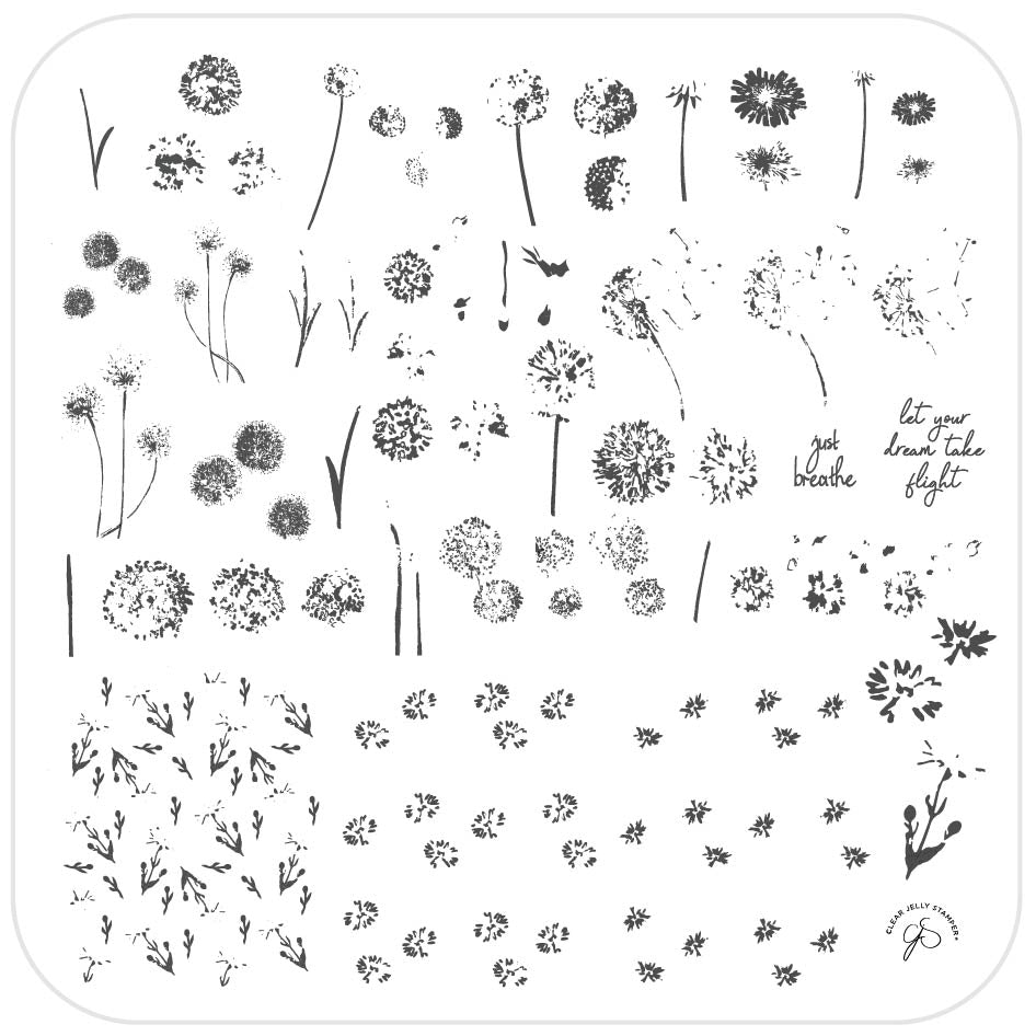 Just Breathe (CjS-156) Steel Stamping Plate 8 x 8 Clear Jelly Stamper 