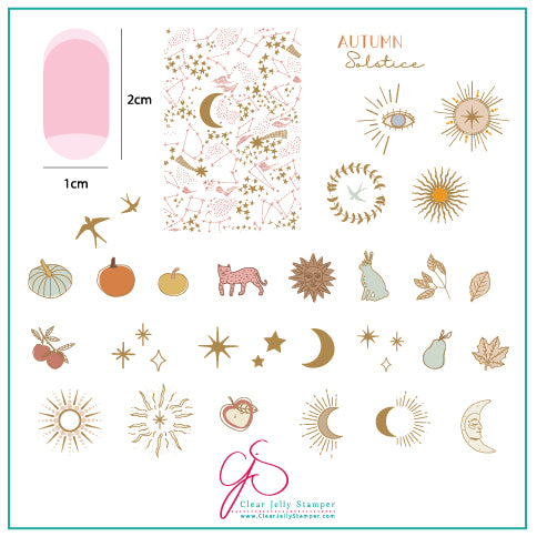 Autumn Solstice (CjS-168) Steel Stamping Plate 8 x 8 Clear Jelly Stamper 