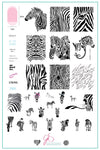 Wild Kingdom - Zebra (CjS-175) Steel Stamping Plate 14 x 9 Clear Jelly Stamper 