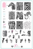 Wild Kingdom - Zebra (CjS-175) Steel Stamping Plate 14 x 9 Clear Jelly Stamper 
