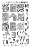 Wild Kingdom - Zebra (CjS-175) Steel Stamping Plate 14 x 9 Clear Jelly Stamper 
