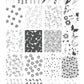 Spring Daisy (CjS-194) Steel Stamping Plate 14 x 9 Clear Jelly Stamper 