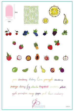 Fruit Cocktail Collection - Tropical Sensation (CjS-211) Steel Nail Art Stamping Plate