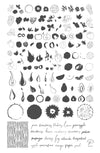 Fruit Cocktail Collection - Tropical Sensation (CjS-211) Steel Nail Art Stamping Plate
