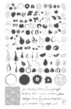 Fruit Cocktail Collection - Tropical Sensation (CjS-211) Steel Nail Art Stamping Plate