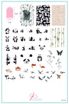 Playful Panda (CjS-216) Steel Nail Art Stamping Plate