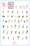 Field of Flowers (CjS-237) Steel Nail Art Stamping Plate