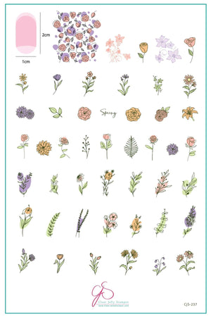 Field of Flowers (CjS-237) Steel Nail Art Stamping Plate