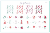Flirty & Fierce (CjS-260) Steel Nail Art Stamping Plate