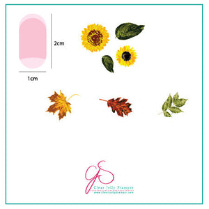 Sunflower and Leaves (CjS-26) - Steel Nail Art Stamping Plate 6x6 Clear Jelly Stamper Plate 