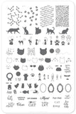 Here Kitty Kitty! (CjS-55) Steel Nail Art Stamping Plate 14 x 9 Clear Jelly Stamper 