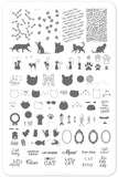 Here Kitty Kitty! (CjS-55) Steel Nail Art Stamping Plate 14 x 9 Clear Jelly Stamper 