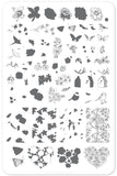 Delicate Garden (CjS-58) Steel Nail Art Stamping Plate 14 x 9 Clear Jelly Stamper 