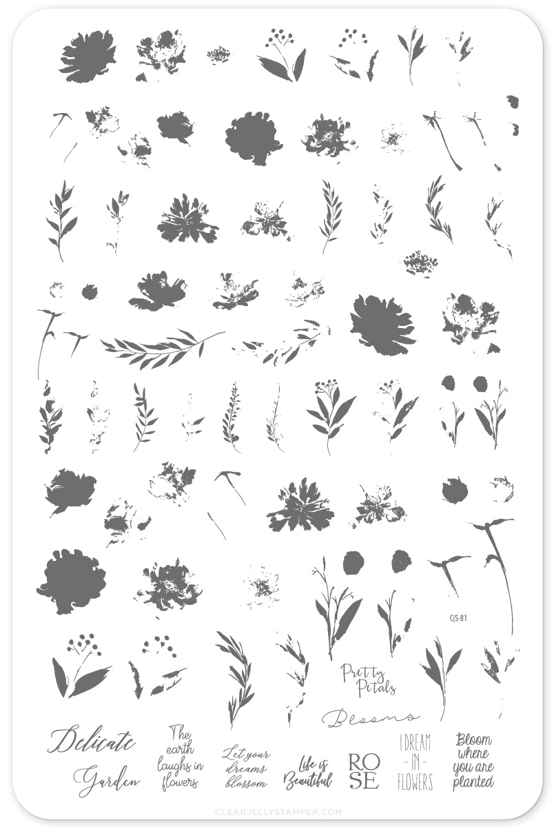 Watercolor Garden (CjS-81) Steel Nail Art Stamping Plate 14 x 9 Clear Jelly Stamper 