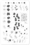 Sketched Garden (CjS-82) Steel Nail Art Stamping Plate 14 x 9 Clear Jelly Stamper 