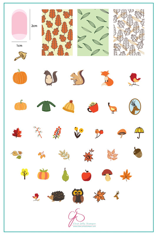 All About Autumn (CjS-88) Steel Nail Art Stamping Plate 14 x 9 Clear Jelly Stamper Plate 