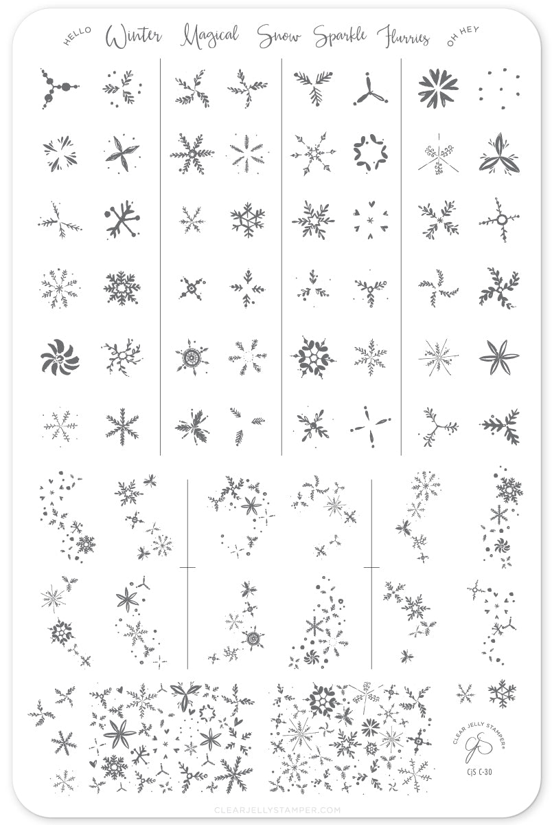 Painted Snowflakes (CjS C-30) Steel Nail Art Stamping Plate 14 x 9 Clear Jelly Stamper 