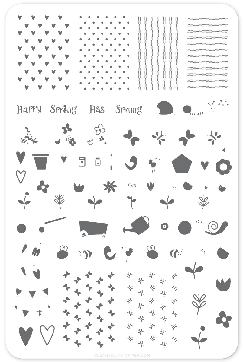 Spring Has Sprung - (CjSH-17) Steel Stamping Plate 14 x 9 Clear Jelly Stamper 