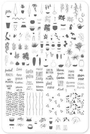 Crazy Plant Lady (CjSLC-07) Steel Nail Art Stamping Plate 14 x 9 Clear Jelly Stamper 