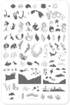 Suzie's Mermaid & Things (CjS LC-48 ) Steel Stamping Plate 14 x 9 Clear Jelly Stamper 