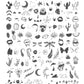 Celina Ryden - One (CjSLC-94) Steel Nail Art Stamping Plate