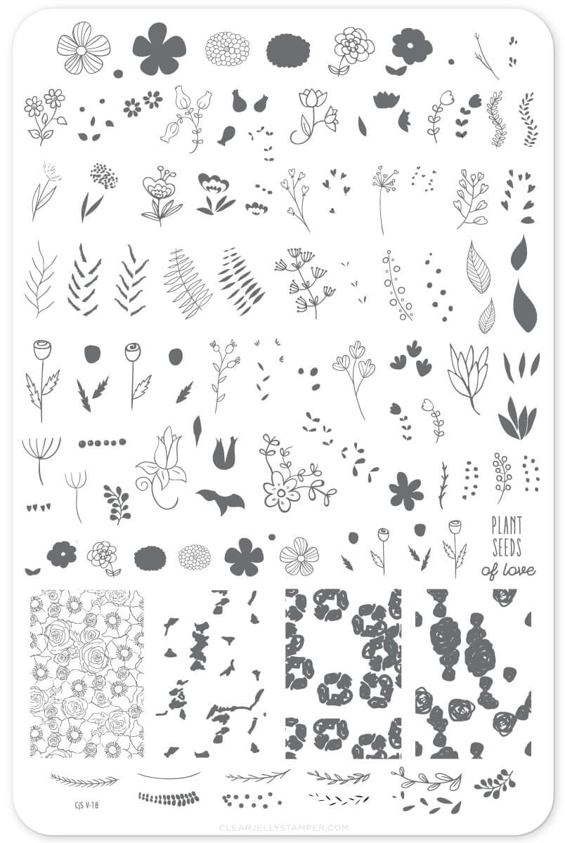 cjs-layered-nail-art-stamping-plate-showing-designs-of-flowers-leaves-and-words-for-nail-art