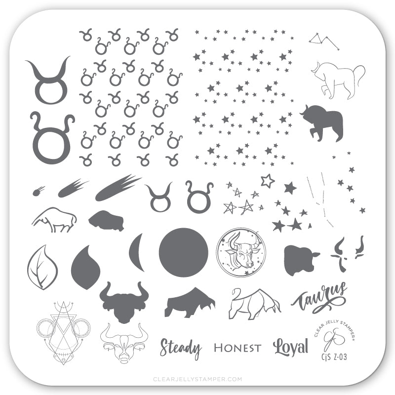 Taurus (CjSZ-03) Steel Stamping Plate 6x6 Clear Jelly Stamper 