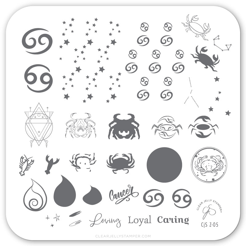Cancer (CjSZ-05) Steel Stamping Plate 6x6 Clear Jelly Stamper 