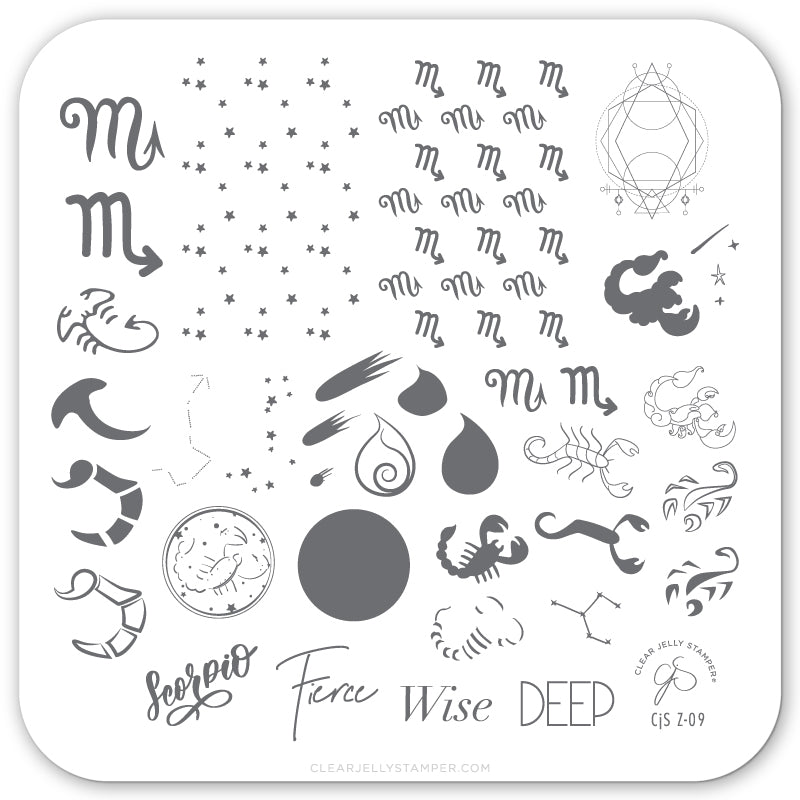 Scorpio (CjSZ-09) Steel Stamping Plate 6x6 Clear Jelly Stamper 