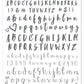 Alphabet Brush (CjS-40) - Steel Nail Art Stamping Plate 14 x 9 Clear Jelly Stamper 