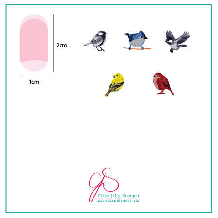 Itty Bitty Birds (CjS-30) - Steel Nail Art Stamping Plate 6x6 Clear Jelly Stamper Plate 