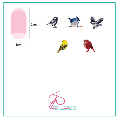 Itty Bitty Birds (CjS-30) - Steel Nail Art Stamping Plate 6x6 Clear Jelly Stamper Plate 