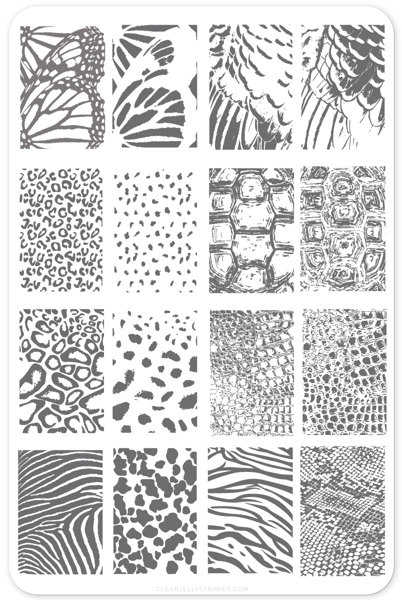 Texture Essentials - Wild Kingdom (CjS-77) Steel Nail Art Stamping Plate 14 x 9 Clear Jelly Stamper 