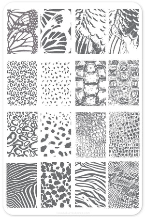 Texture Essentials - Wild Kingdom (CjS-77) Steel Nail Art Stamping Plate 14 x 9 Clear Jelly Stamper 