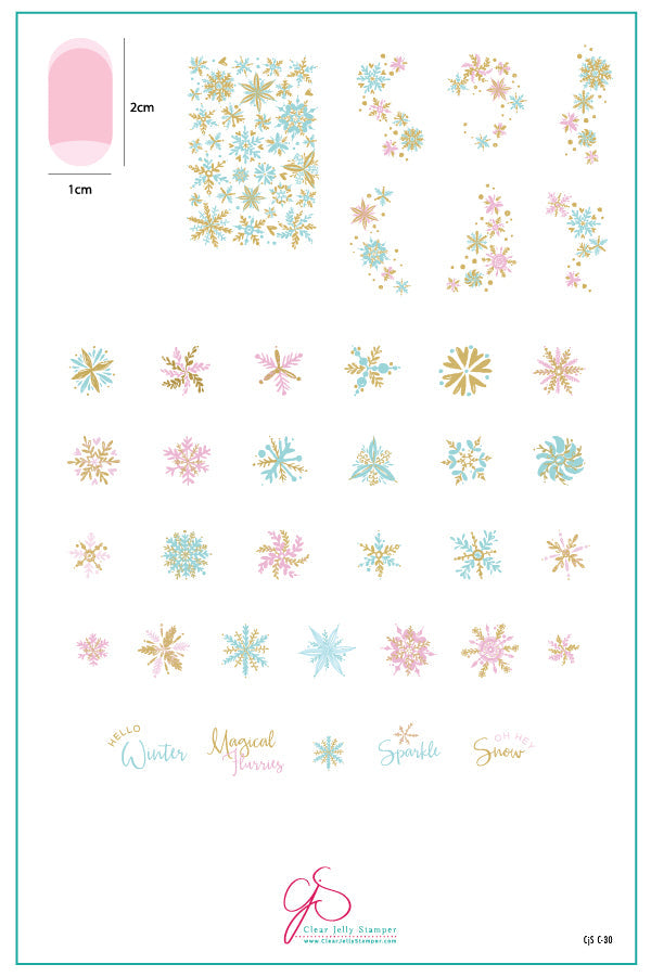 Painted Snowflakes (CjS C-30) Steel Nail Art Stamping Plate 14 x 9 Clear Jelly Stamper 
