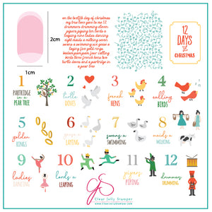 The 12 Days of Christmas (CjSLE02) Steel Nail Art Layered Stamping Plate