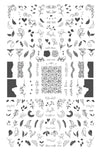 Embellish (CjSV-40) Steel Nail Art Stamping Plate