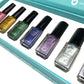 Stamping Polish Kit - Holo (7 Colors) Polish Kits Clear Jelly Stamper 