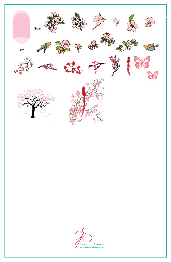 Cherry Blossom