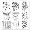 Perfect Prints by Chrissie Pearce (CjSLC-05) - Steel Nail Art Stamping Plate 6x6 Clear Jelly Stamper 