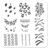 Perfect Prints by Chrissie Pearce (CjSLC-05) - Steel Nail Art Stamping Plate 6x6 Clear Jelly Stamper 
