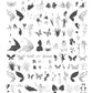 layered-nail-art-stamping-plate-showing-designs-of-fairies-fairy-wings-and-flowers