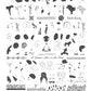 Pride of Black Beauty (CjSLC-92) Steel Nail Art Stamping Plate