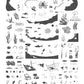 Sunken Treasure (CjSLC-88) Steel Nail Art Stamping Plate