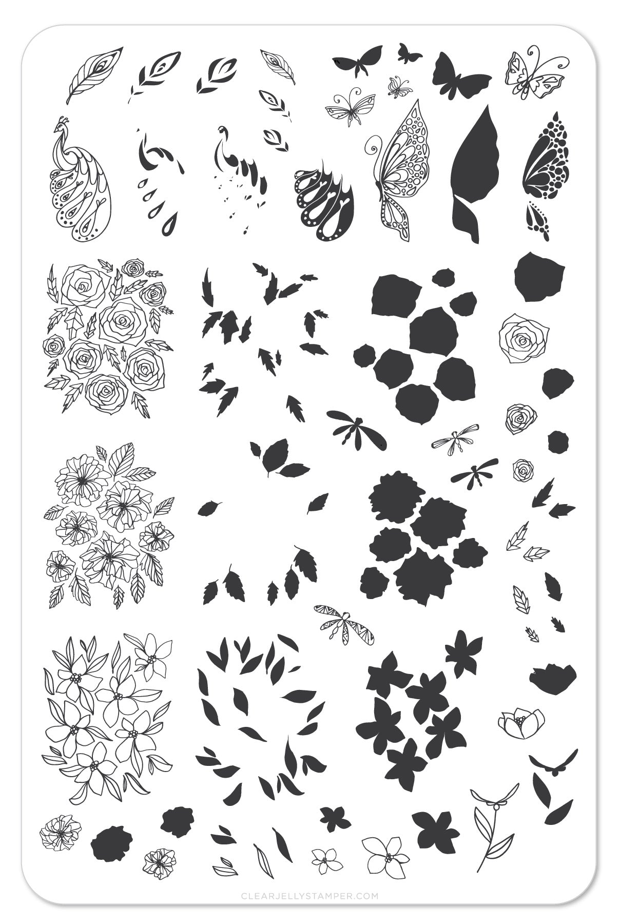 Peacocks Garden (CjS-37) - Steel Nail Art Stamping Plate 14 x 9 Clear Jelly Stamper 